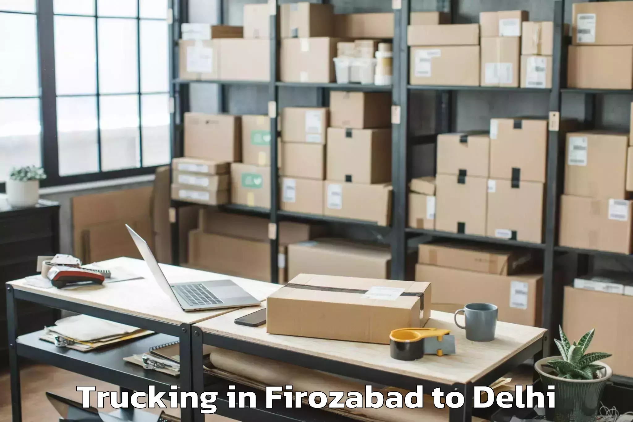 Discover Firozabad to Vivek Vihar Trucking